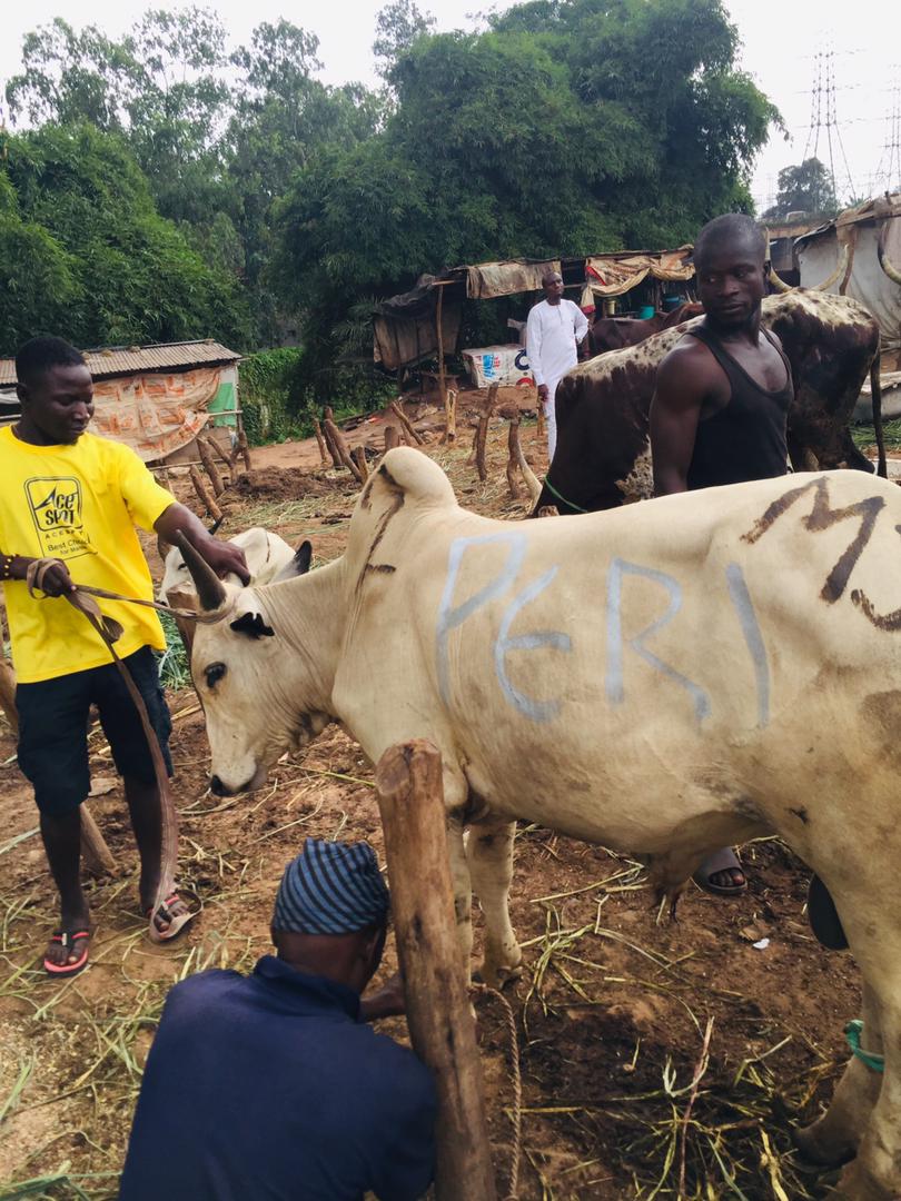 Quentifiy Agriculture 3